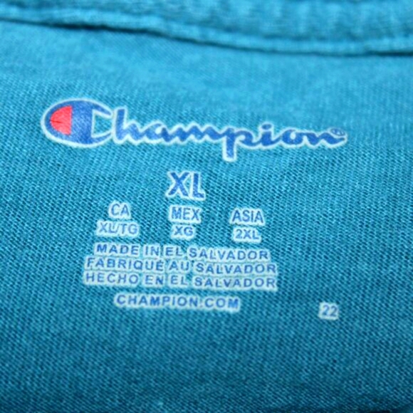 Champion Teal Mountain Landscape Graphic T-Shirt XL - Picture 3 of 3